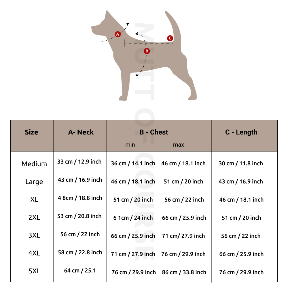 Red Radiant Dog Raincoat