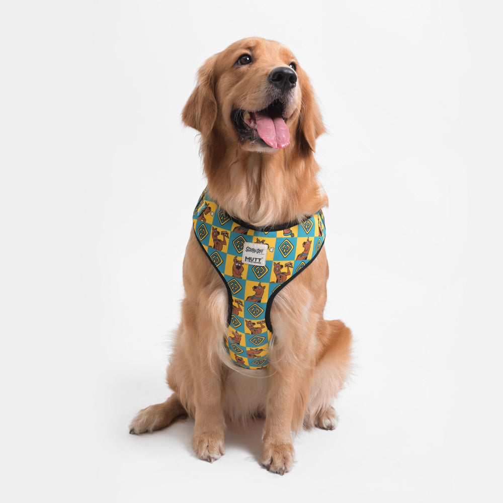 Scooby Dooby Doo Dog Harness Mutt of Course
