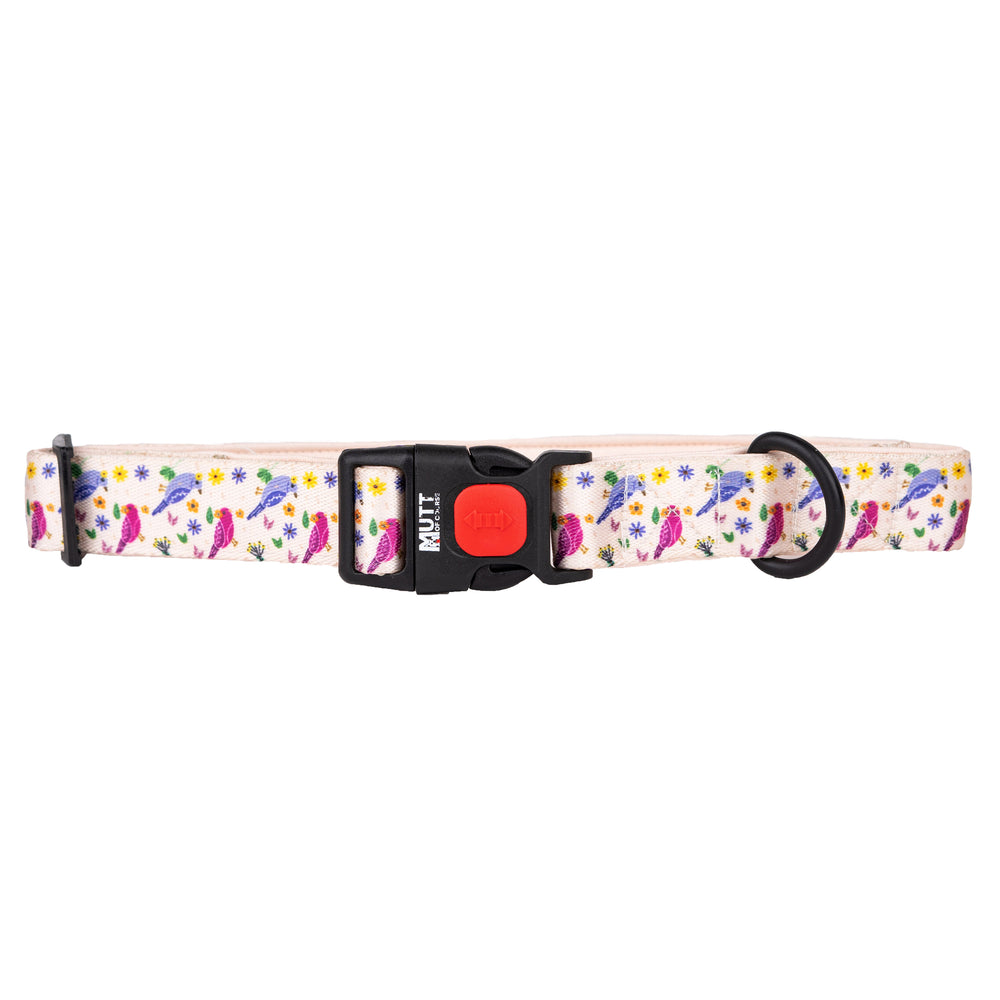 Chirpy Chirps Adjustable Collar