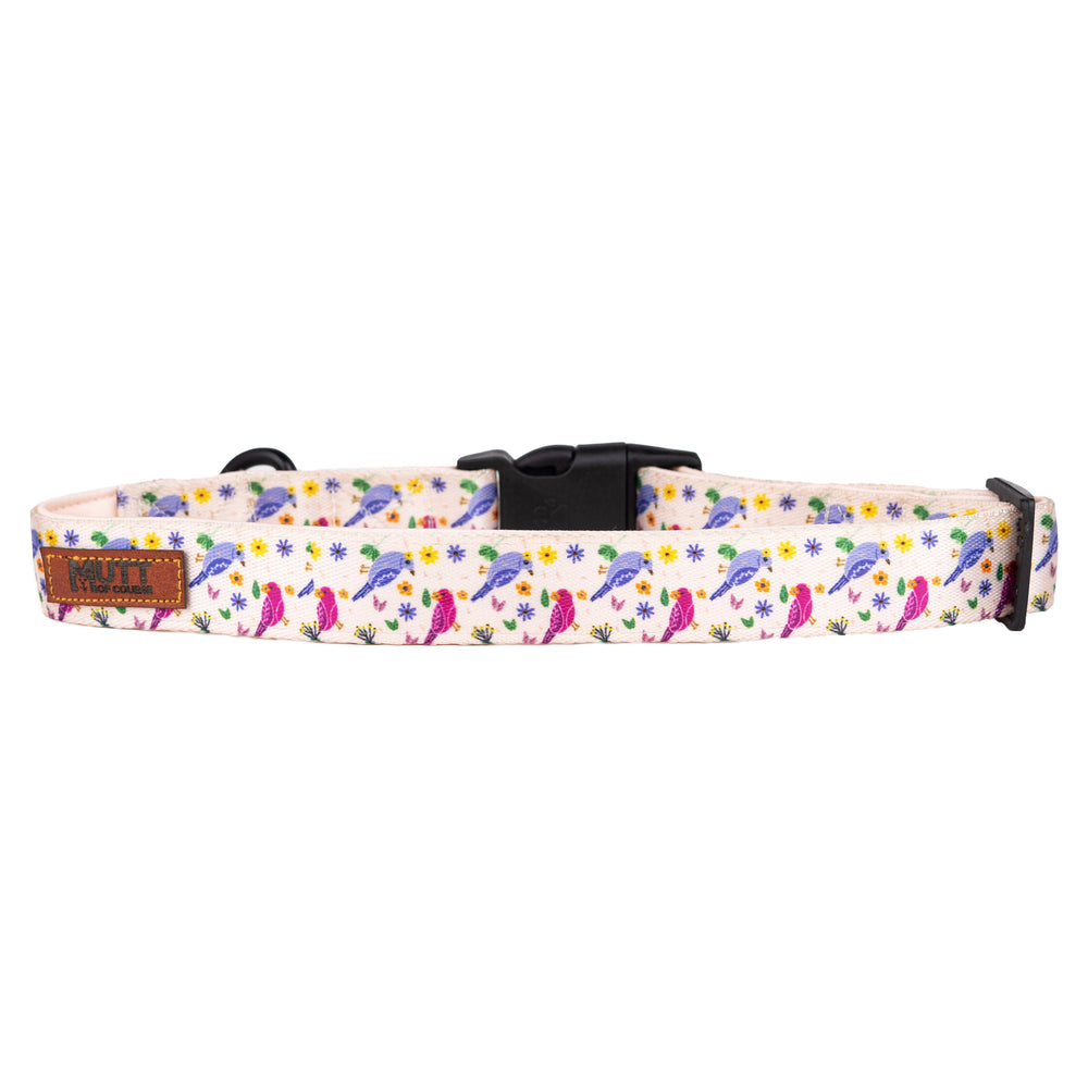 Chirpy Chirps Adjustable Collar