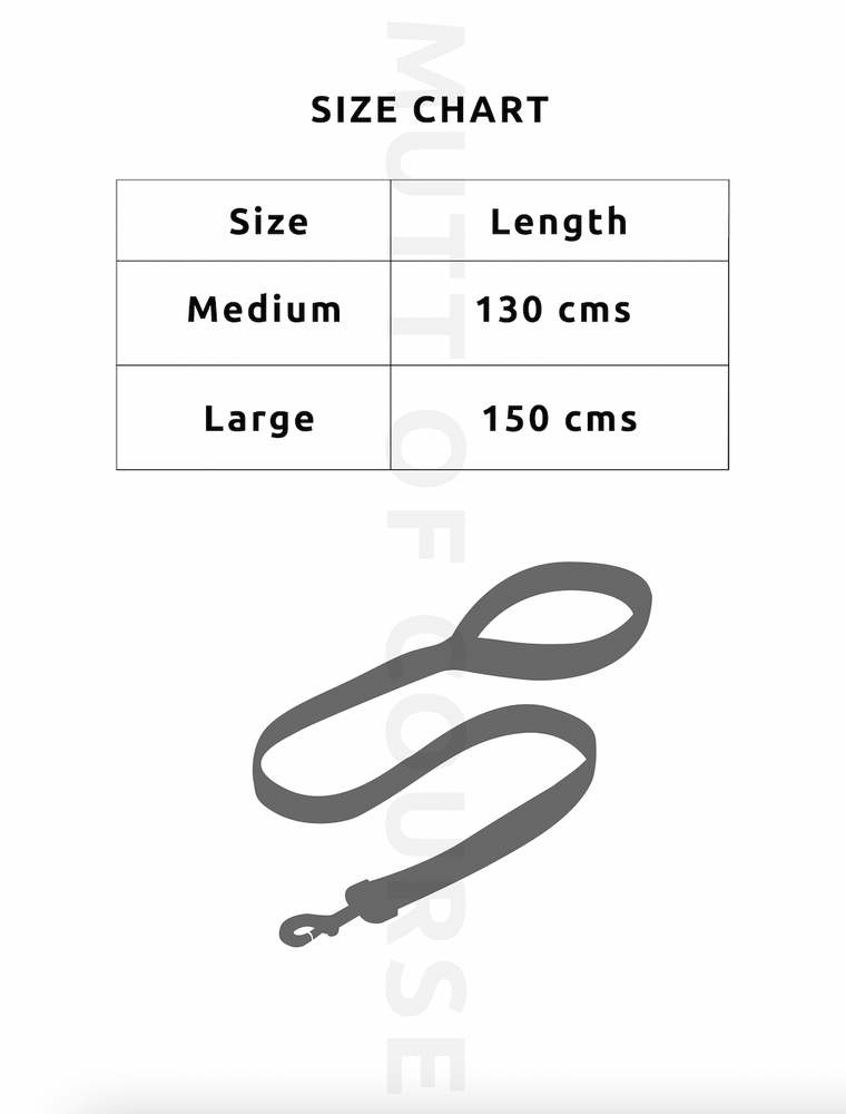 Geometrical Light Harness + Leash Set