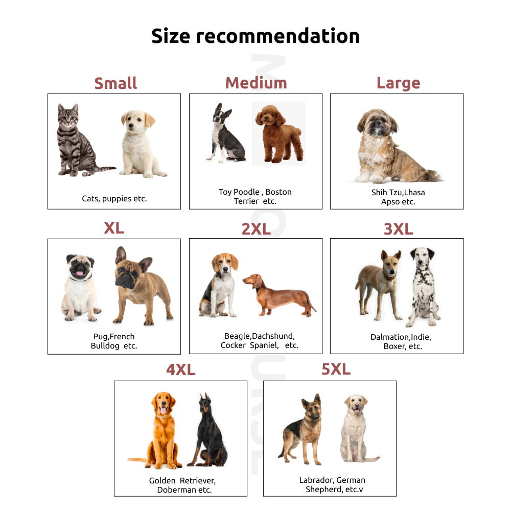 Sheldon Pooper T-Shirt