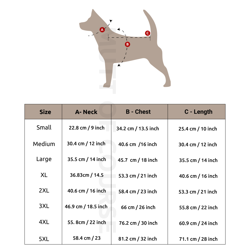 Sheldon Pooper T-Shirt