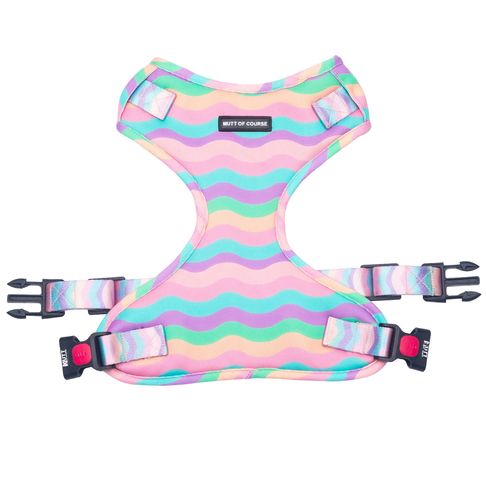 Marshmallow Rainbow Harness