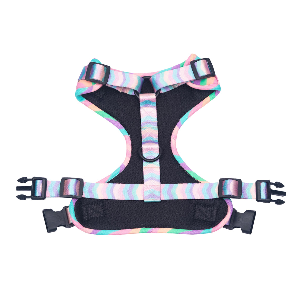 Marshmallow Rainbow Harness