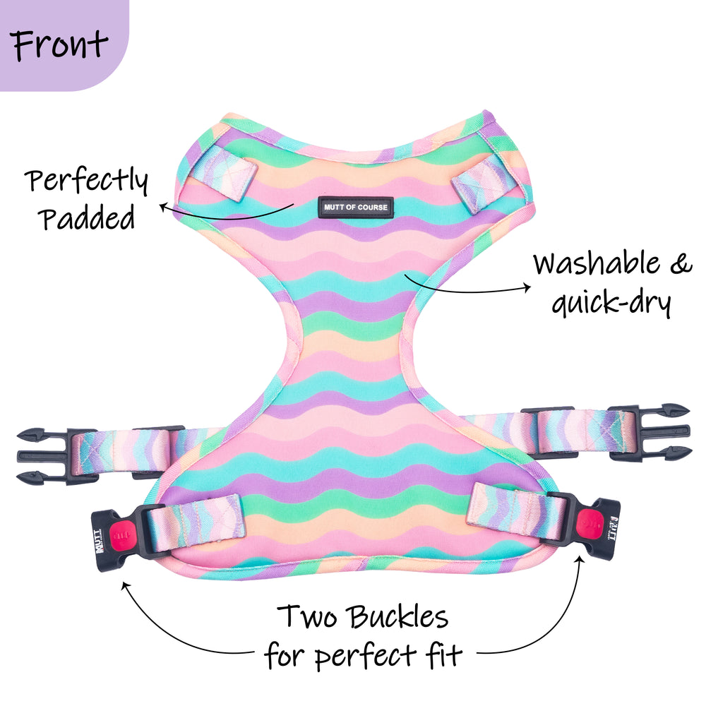 Marshmallow Rainbow Harness