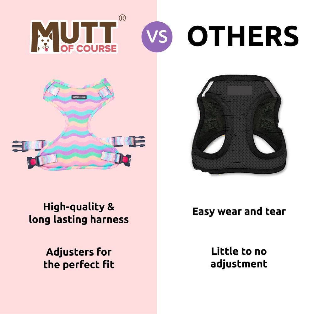 Marshmallow Rainbow Harness