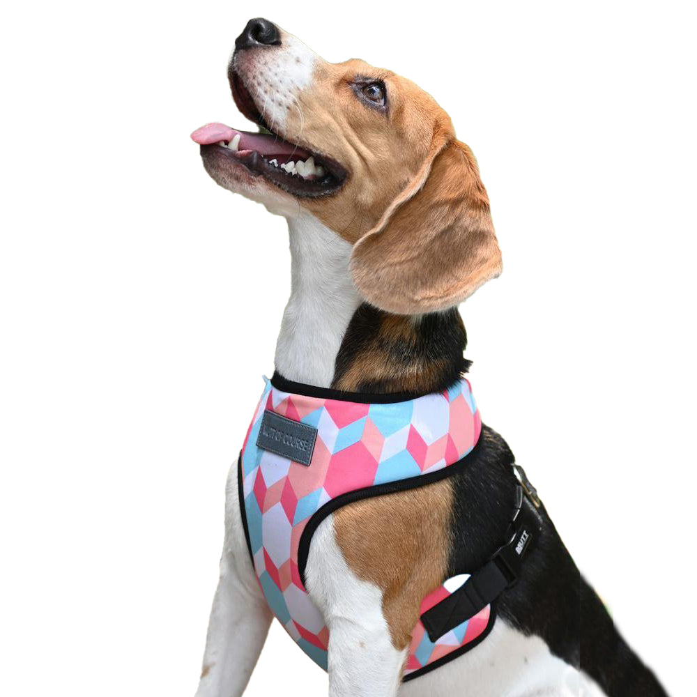 Candy Barr Vest Harness