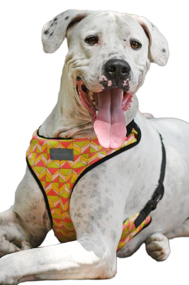 Coral Reef Vest Harness