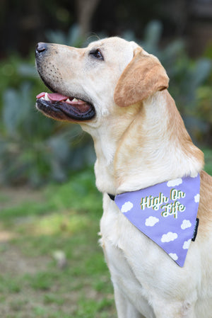 High on Life Bandana - Mutt of Course