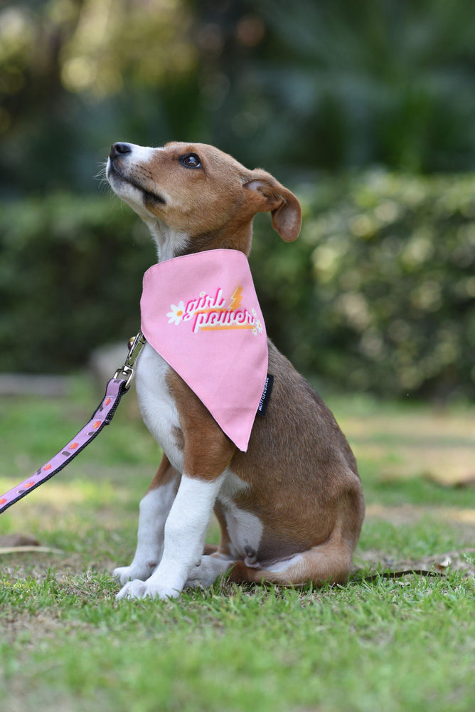 Girl Power Bandana Cotton Dog Bandanas Mutt of Course