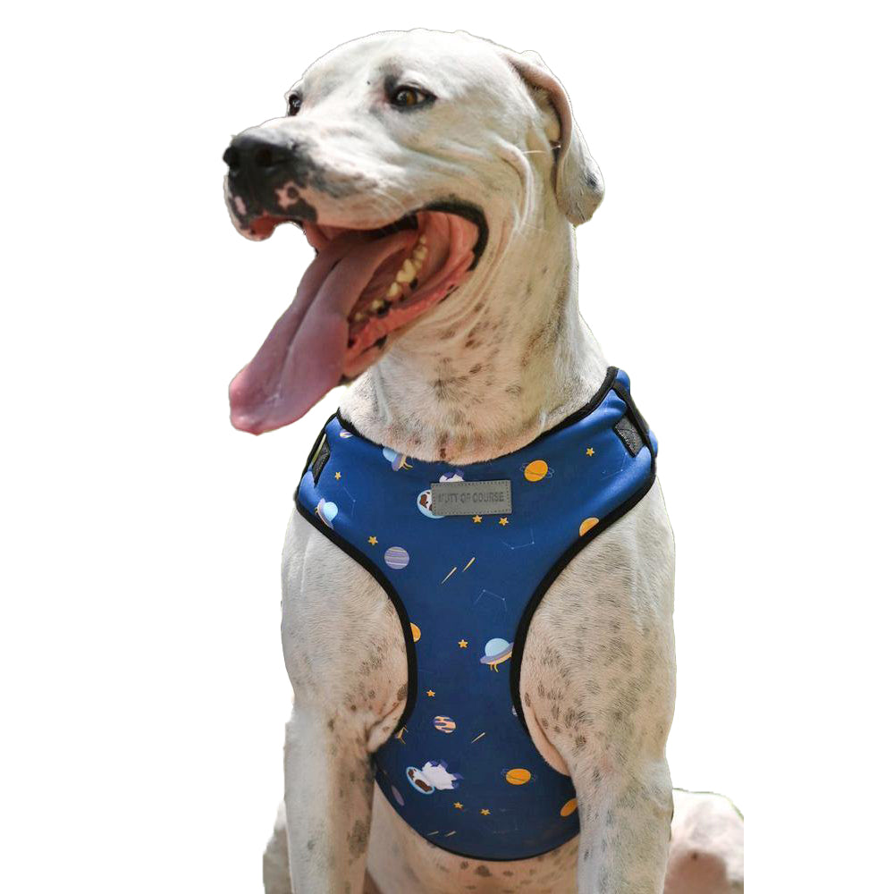 Elon Mutt Vest Harness