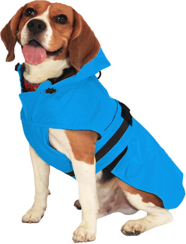 Sky Blue Dog Raincoat